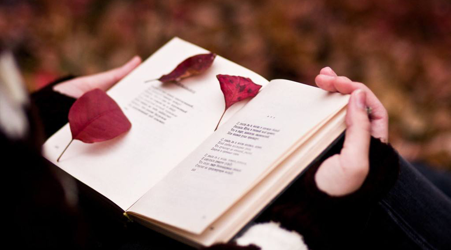 世界读书日 | 常国学子为您讲述阅读的力量