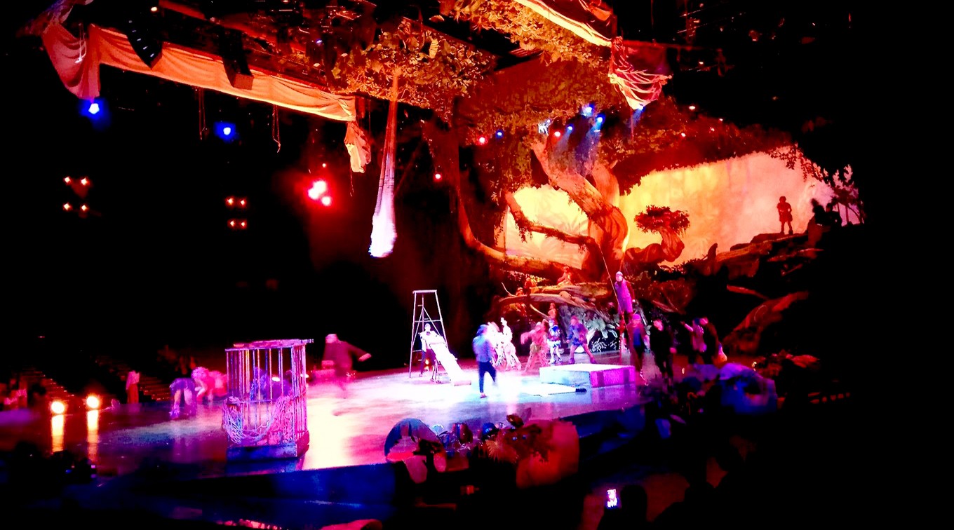 国际语言村夏令营 | 坐上时光机,打卡梦幻Disney!