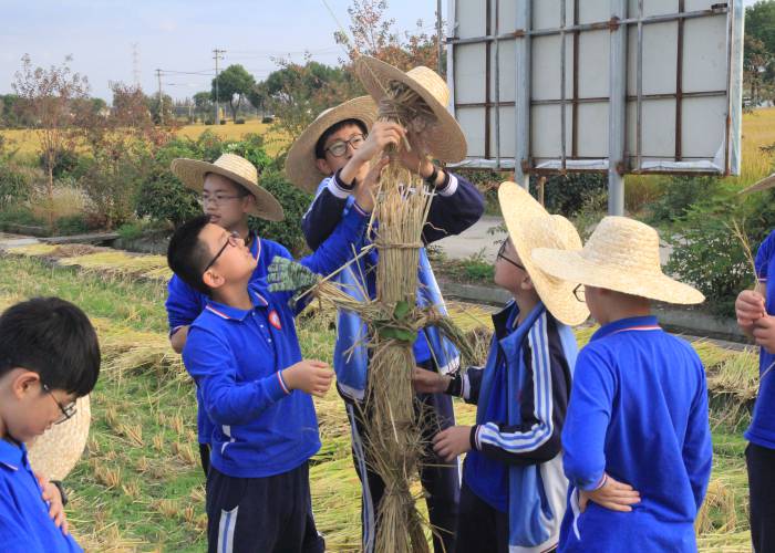 9稻草人.jpg