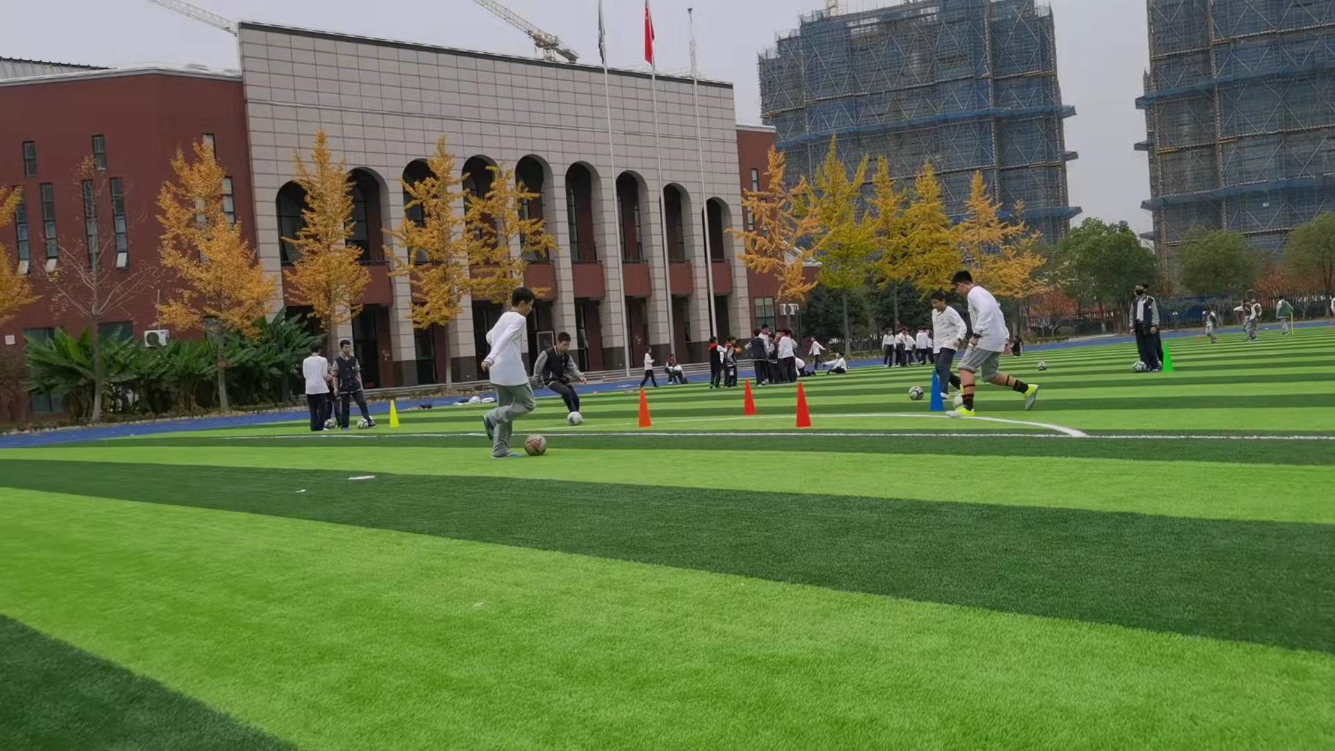 03.jpg